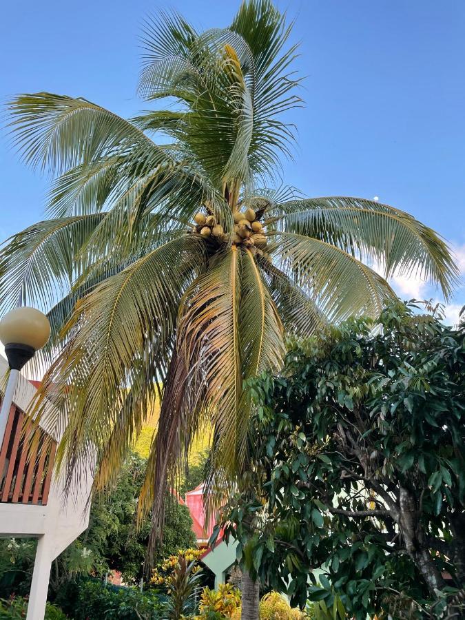 Residence Sucrerie Motel - Les Anses-D'Arlets - Martinique エクステリア 写真