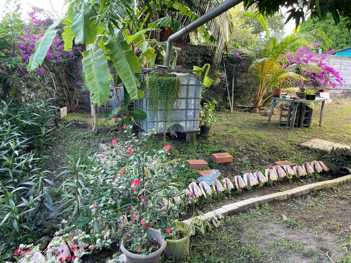 Residence Sucrerie Motel - Les Anses-D'Arlets - Martinique エクステリア 写真