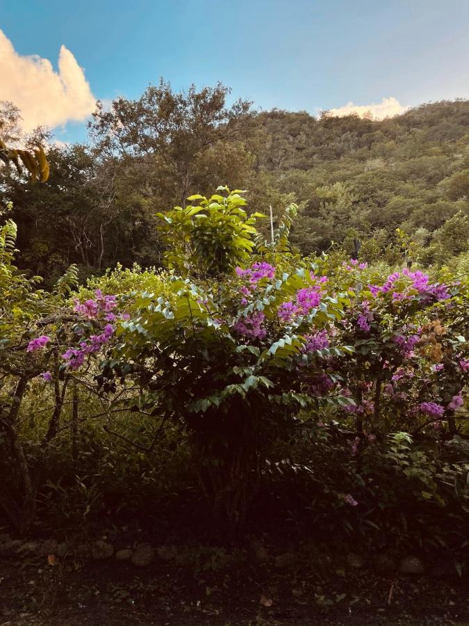 Residence Sucrerie Motel - Les Anses-D'Arlets - Martinique エクステリア 写真