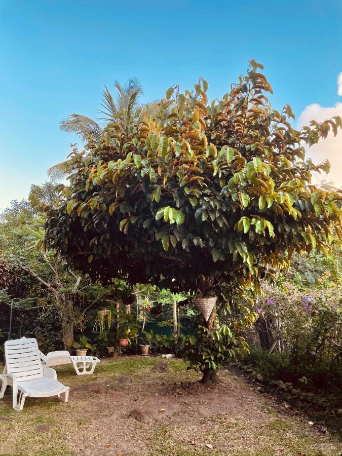 Residence Sucrerie Motel - Les Anses-D'Arlets - Martinique エクステリア 写真