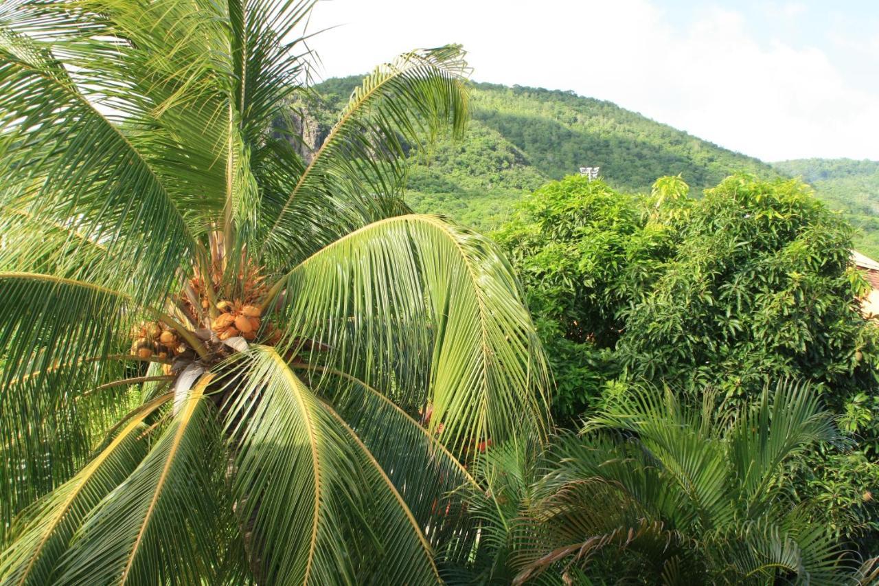 Residence Sucrerie Motel - Les Anses-D'Arlets - Martinique エクステリア 写真